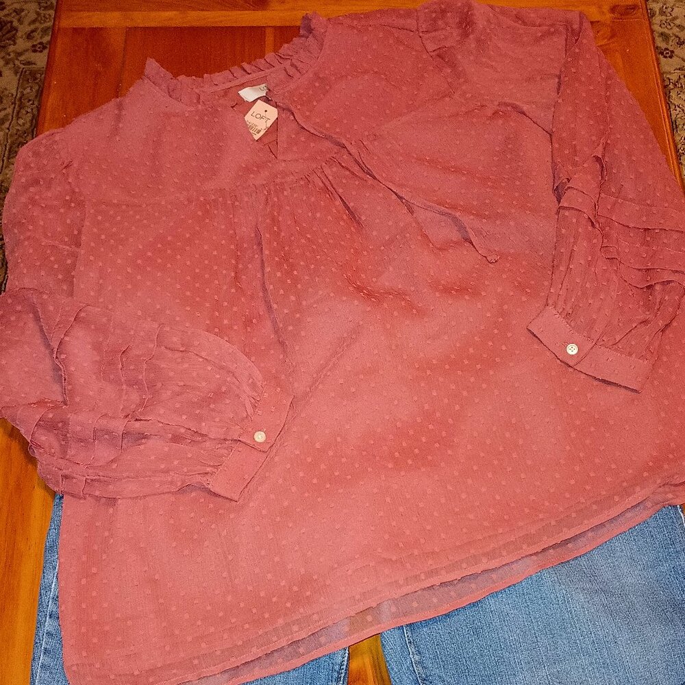 Loft Size XXL Rust Swiss Dot BOHO Top (NWT)